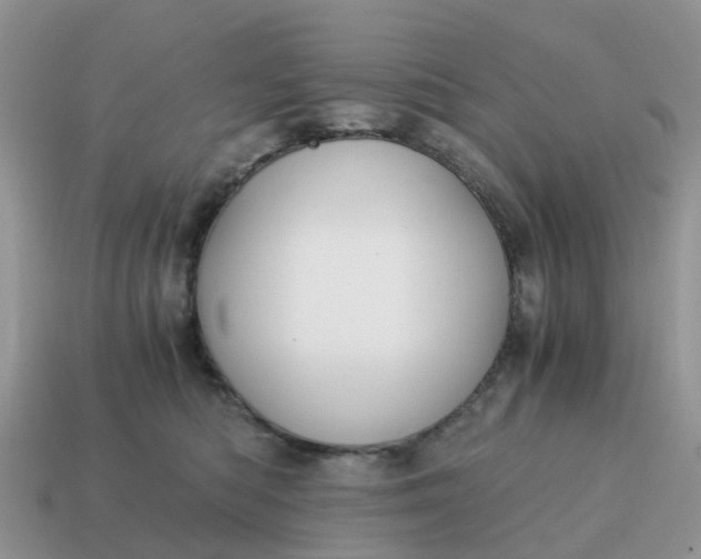 X0000115040422200911091409