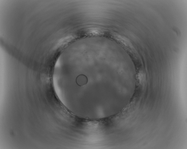 X0000115040423200911091409