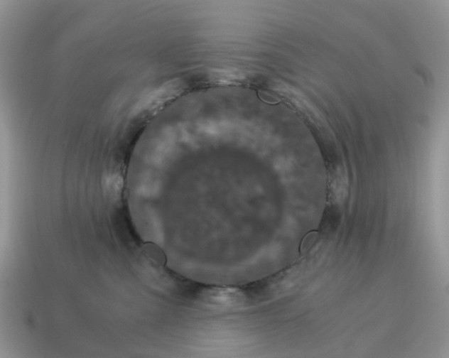 X0000115040427200911091409