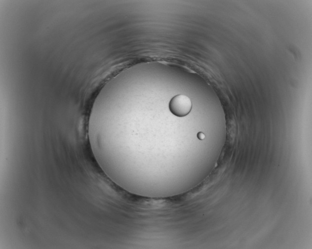 X0000115040428200911091409
