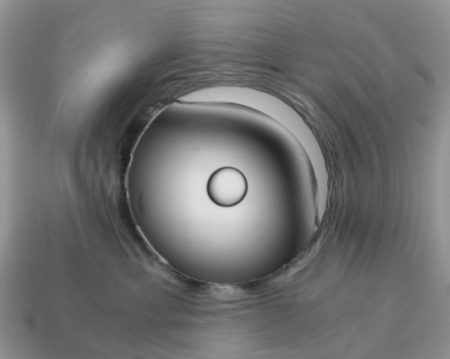 X0000115040429200911091409