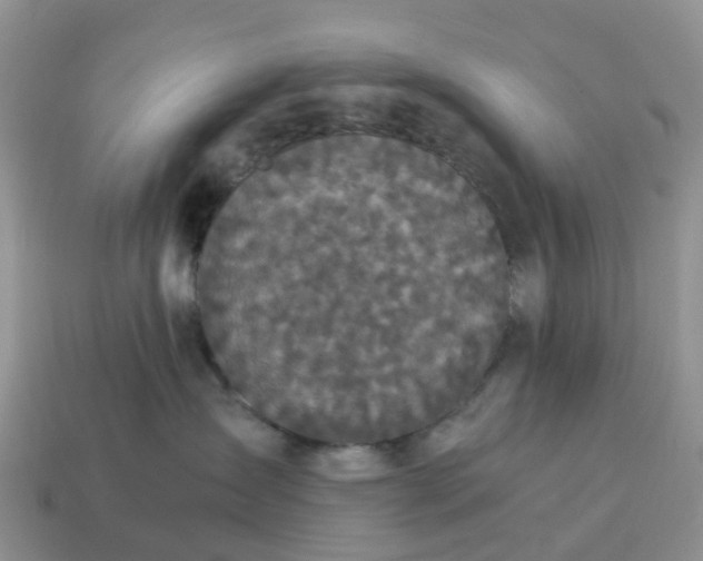 X0000115040431200911091409