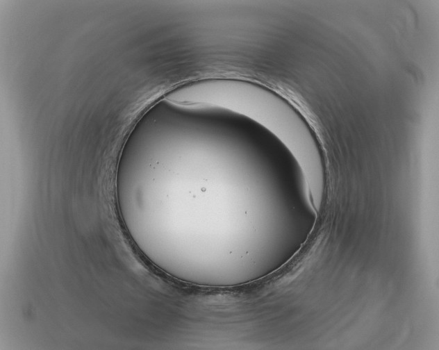 X0000115040433200911091408