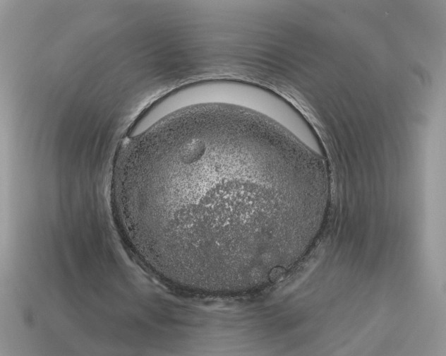 X0000115040434200911091408