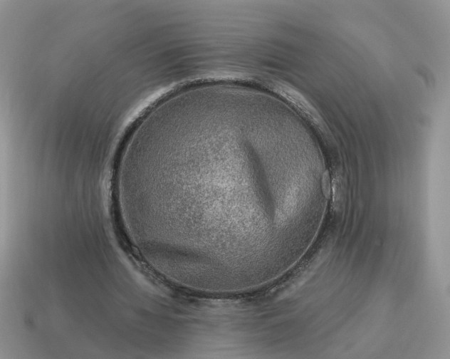X0000115040436200911091408