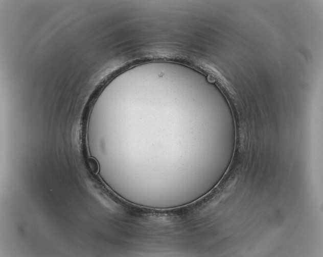 X0000115040439200911091408