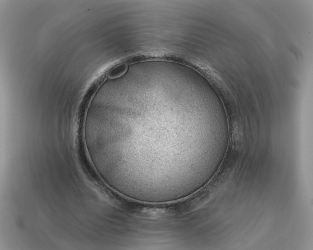 X0000115040440200911091408