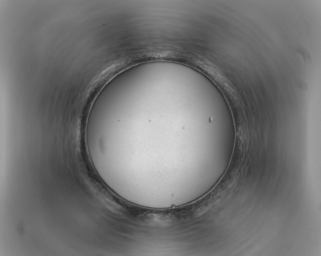 X0000115040442200911091408