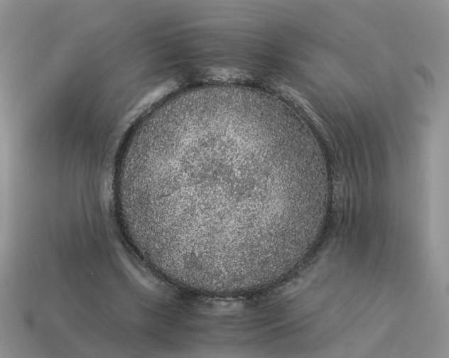 X0000115040443200911091408
