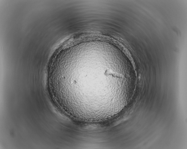 X0000115040446200911091408