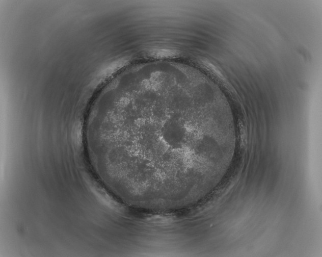 X0000115040447200911091408