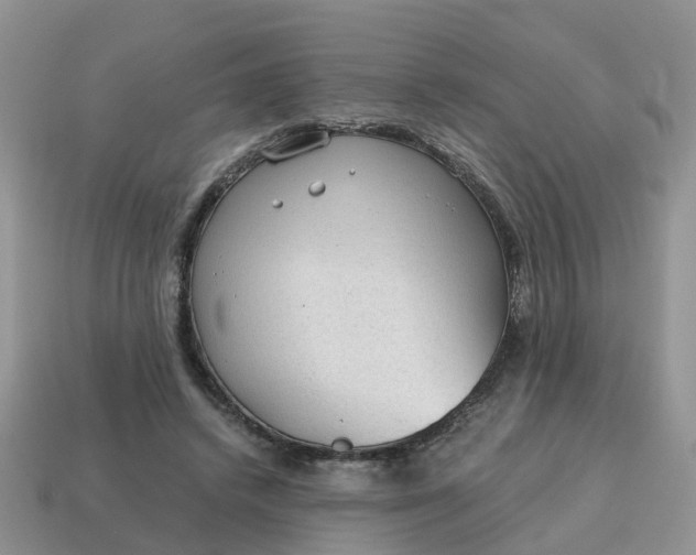 X0000115040448200911091408