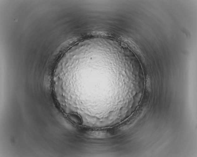 X0000115040449200911091408