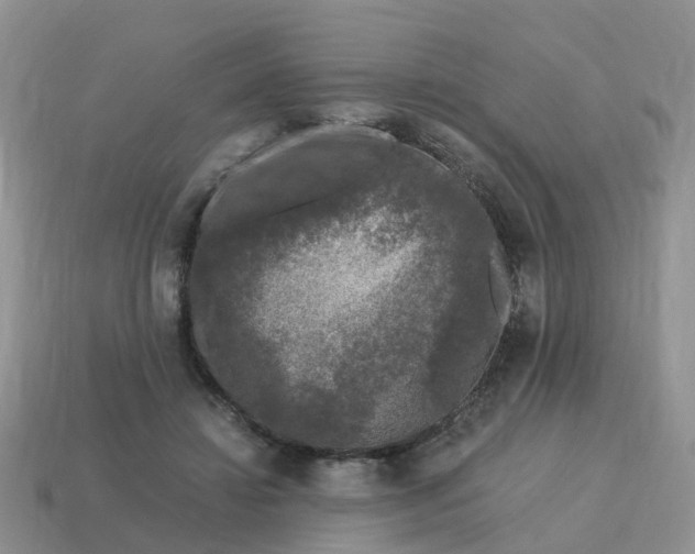 X0000115040452200911091408