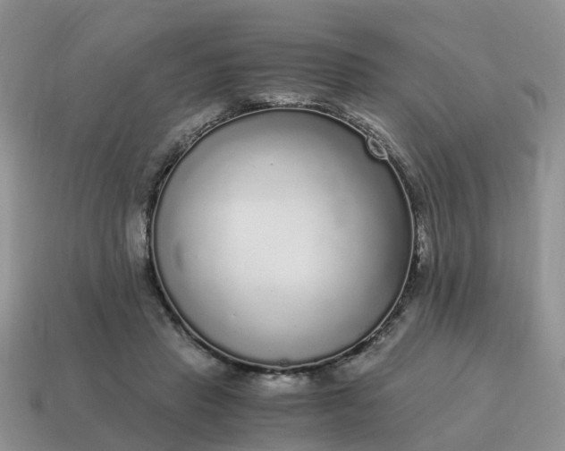 X0000115040453200911091408