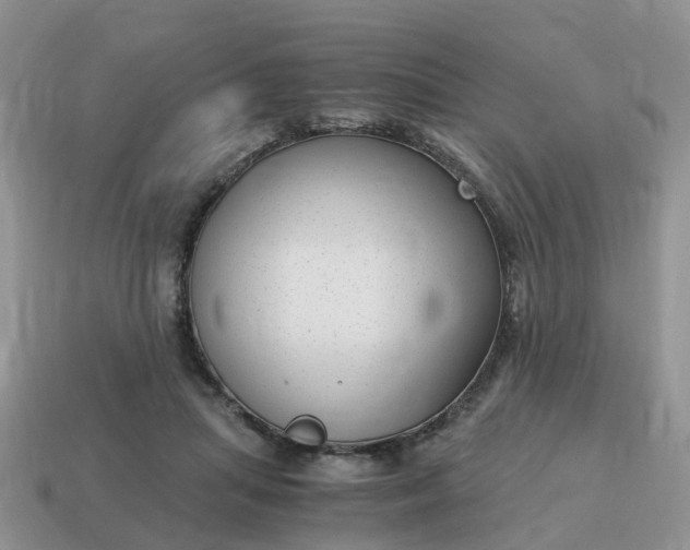 X0000115040455200911091408