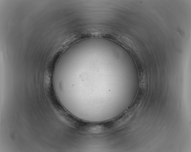 X0000115040456200911091408