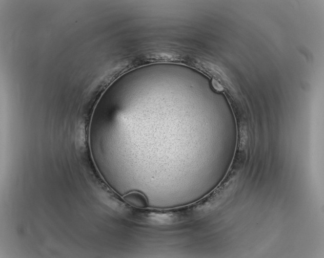 X0000115040457200911091408