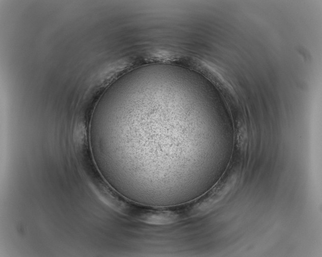 X0000115040459200911091408