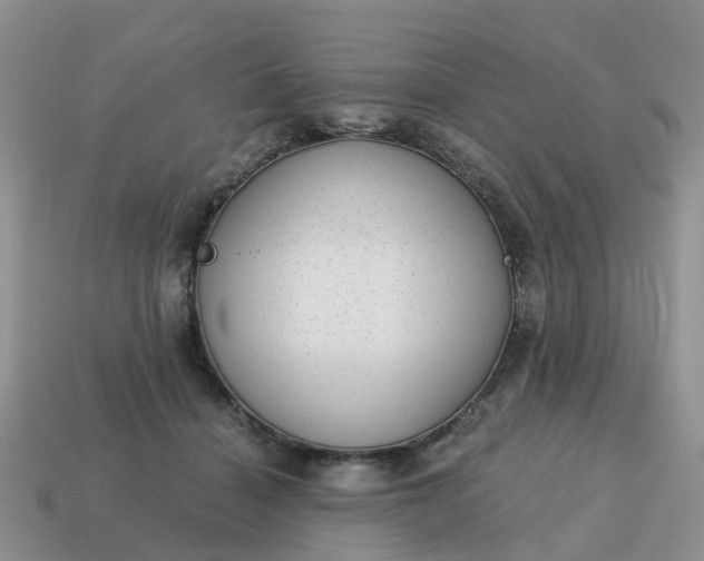X0000115040460200911091408