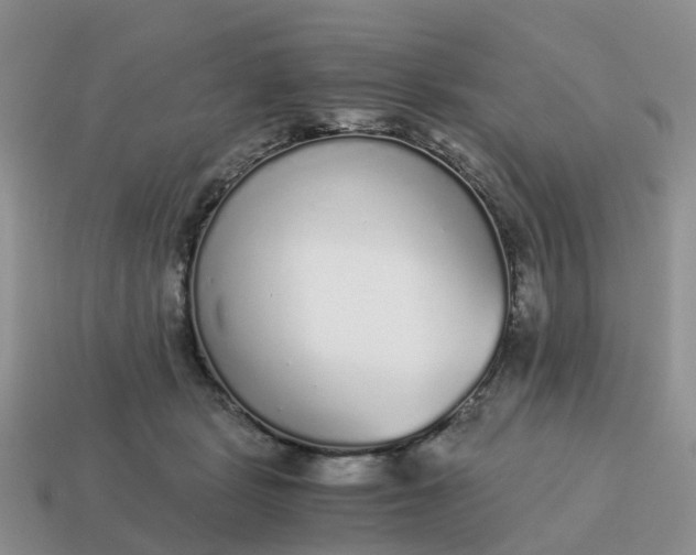 X0000115040461200911091408