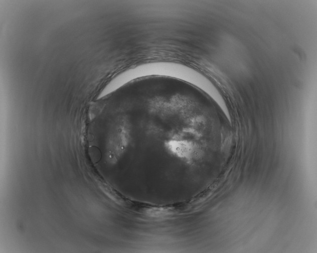 X0000115040465200911091408