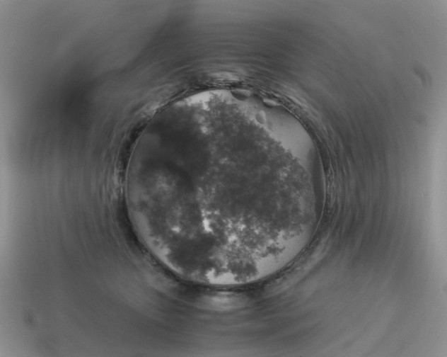 X0000115040467200911091408