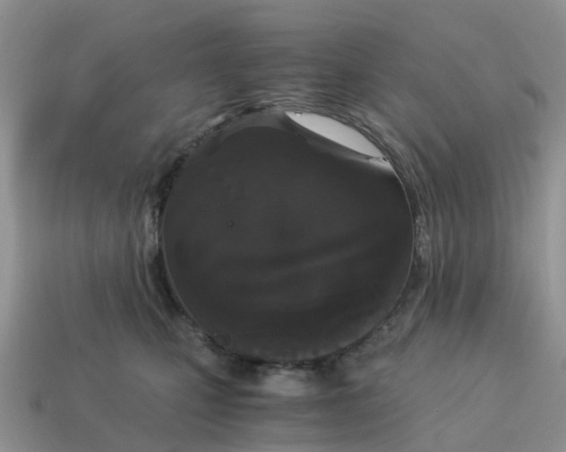 X0000115040471200911091409