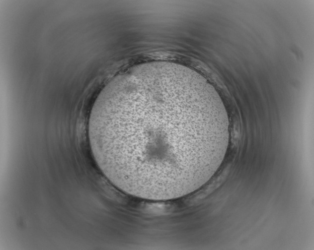 X0000115040473200911091409
