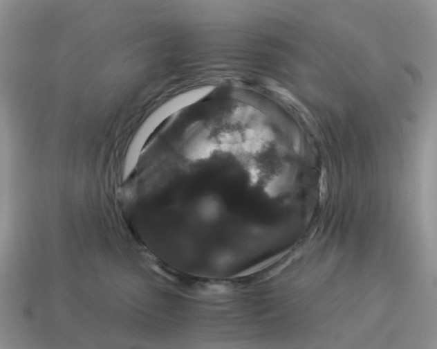 X0000115040475200911091409