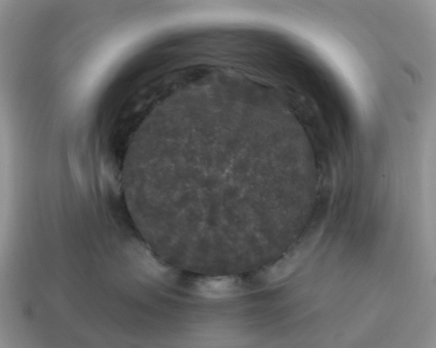 X0000115040479200911091409