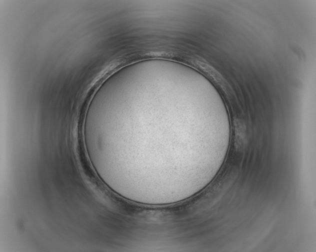 X0000115040482200911091408