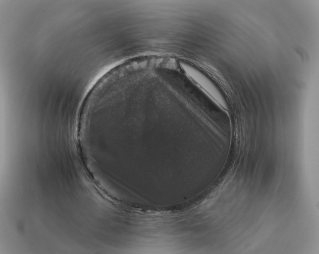 X0000115040484200911091408