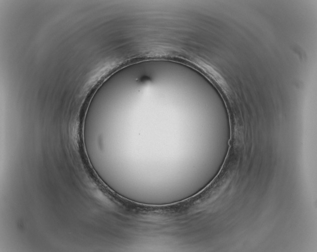 X0000115040485200911091408
