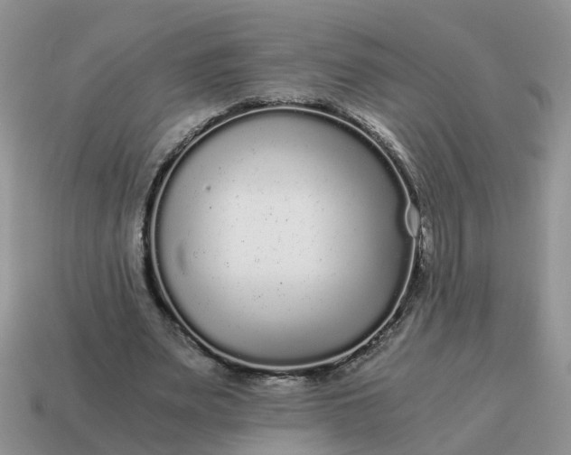 X0000115040487200911091408