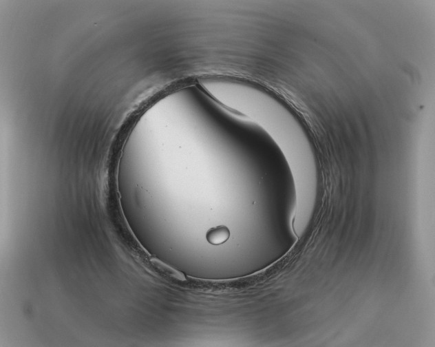 X0000115040488200911091408