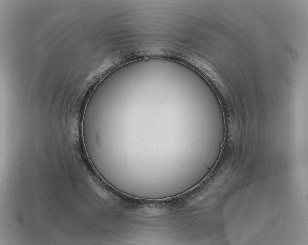 X0000115040489200911091408