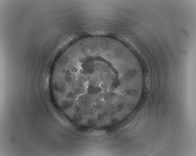 X0000115040491200911091408