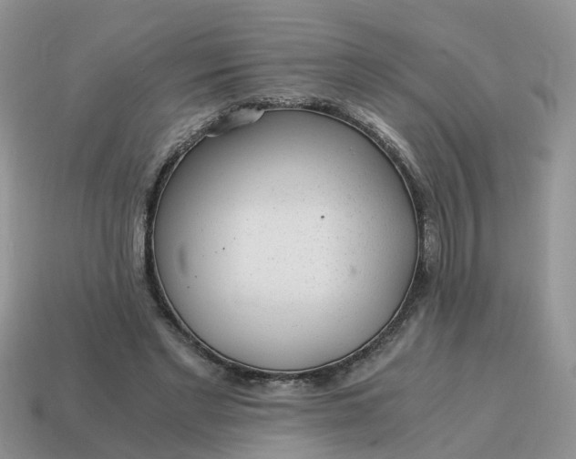 X0000115040493200911091408
