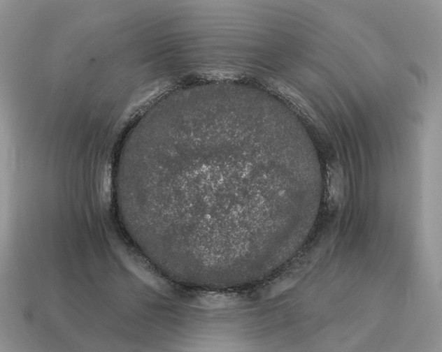 X0000115040494200911091408
