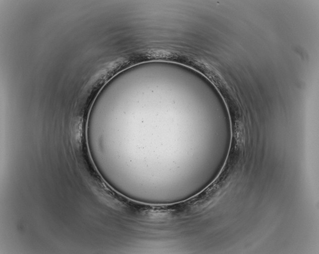 X0000115040495200911091408