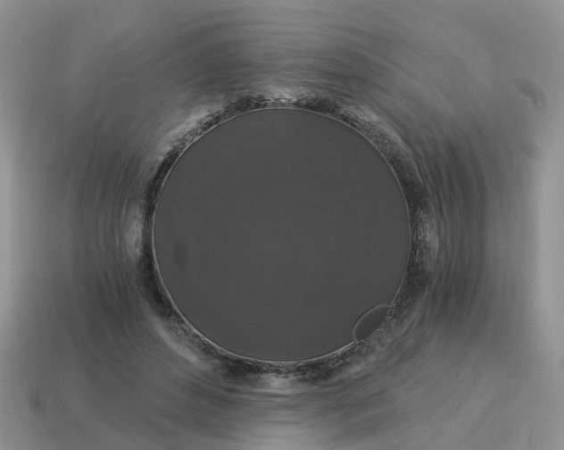 X0000115040496200911091408