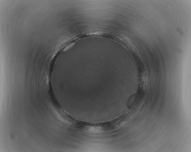 X0000115040500200911091408