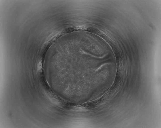 X0000115040502200911091408