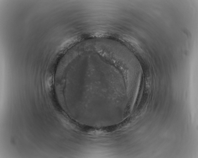 X0000115040503200911091408