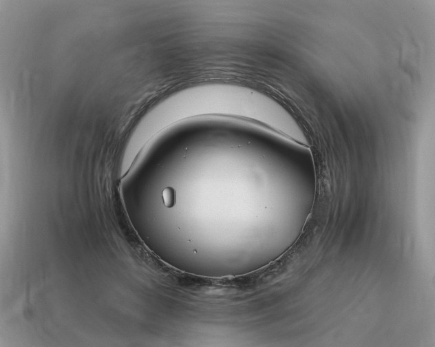 X0000115040504200911091408