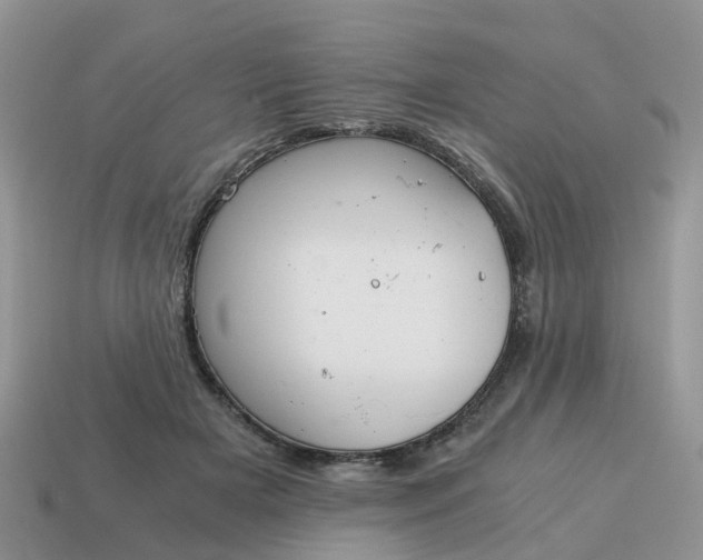 X0000115040505200911091408