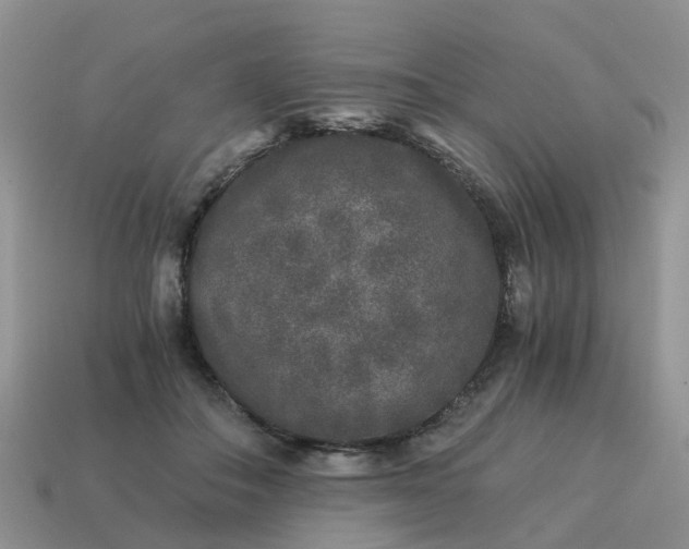 X0000115040506200911091408