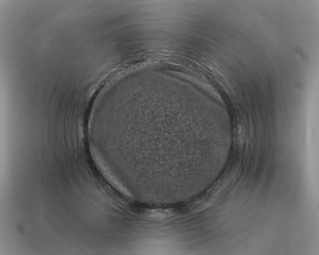 X0000115040508200911091408
