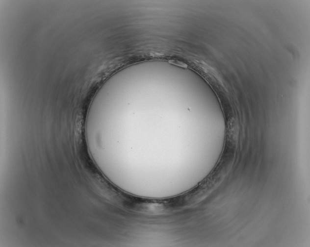 X0000115040509200911091408